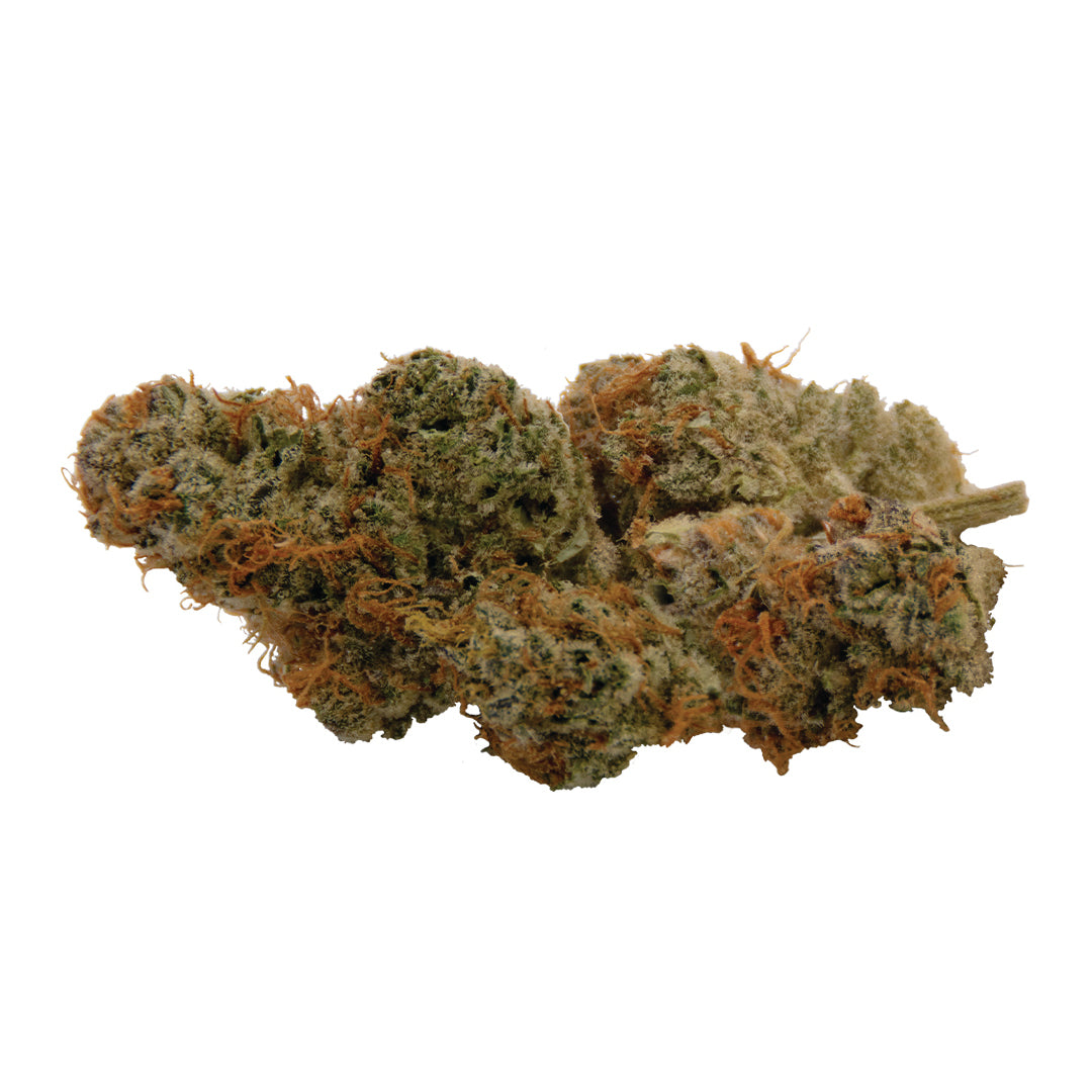 BLLRDR PEACH CRESCENDO (H) DRIED - 3.5G