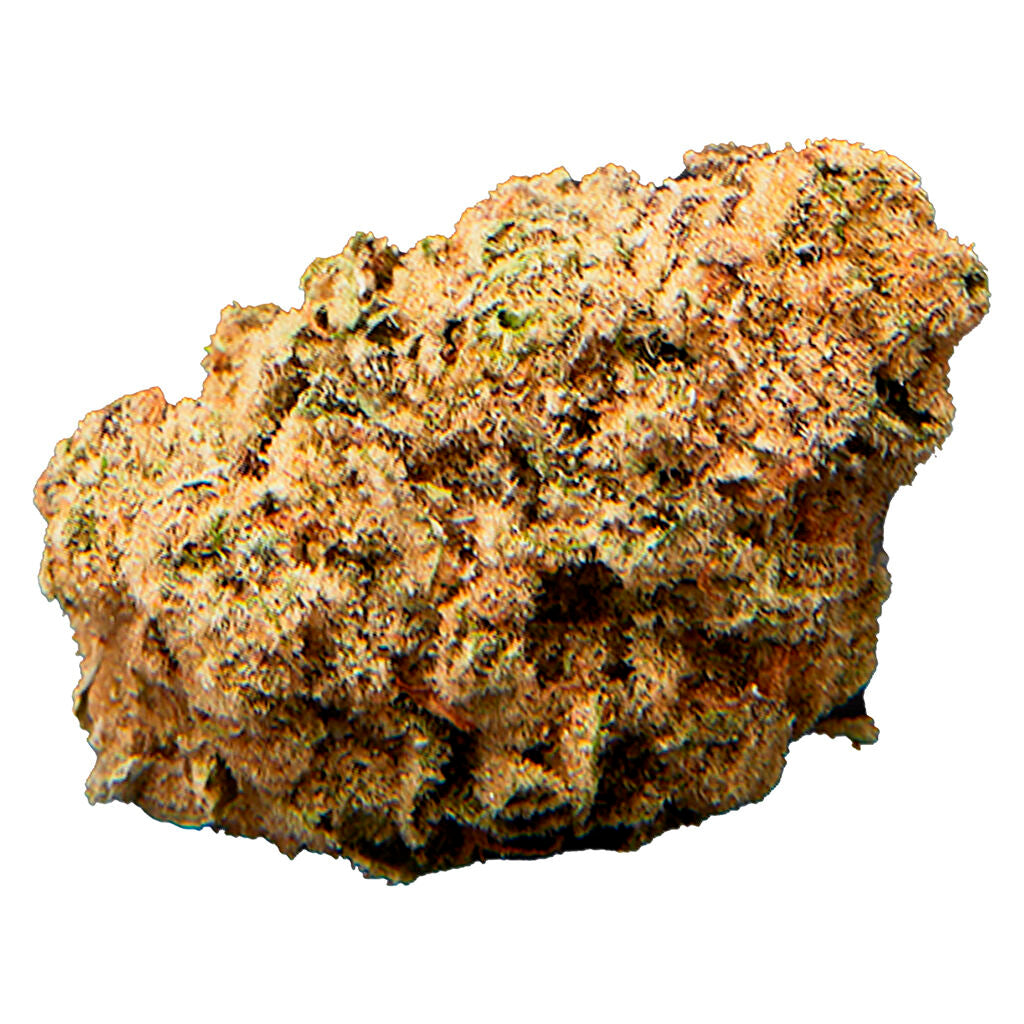 COOKIES CHEETAH P (H) DRIED - 3.5G