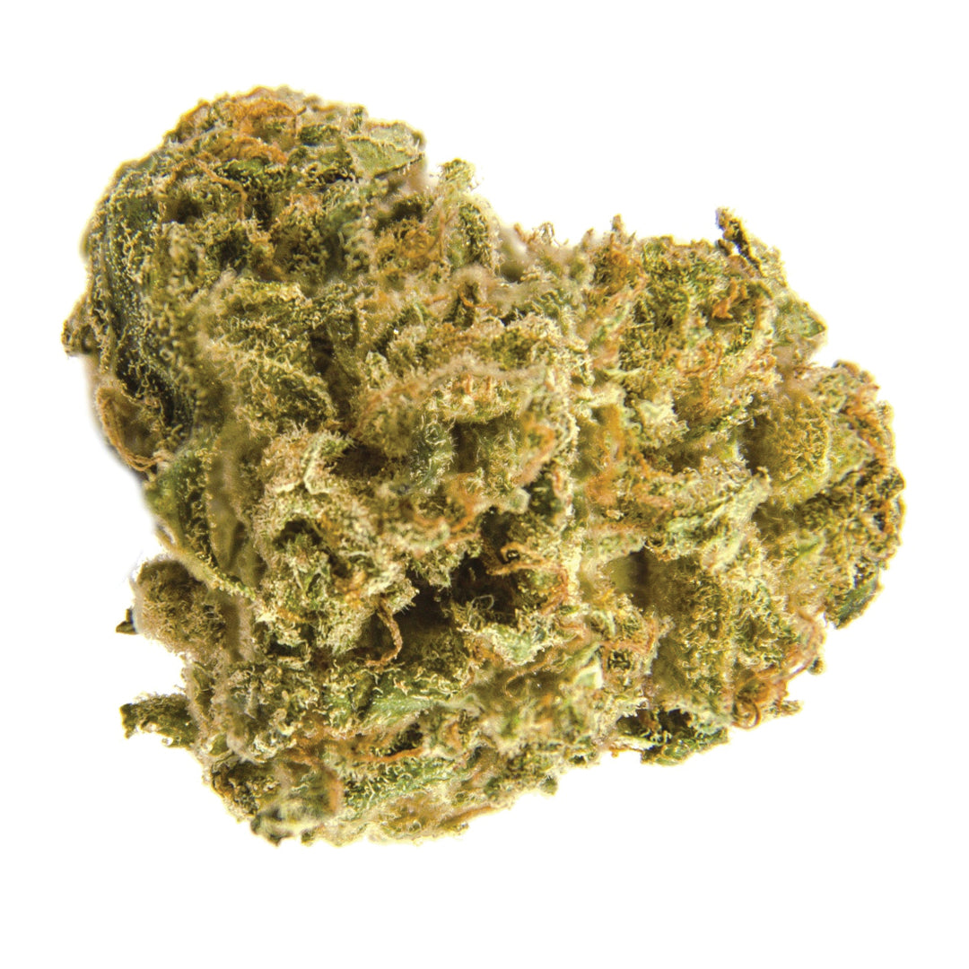 DIVVY BLACK WIDOW CBD (H) DRIED - 14G