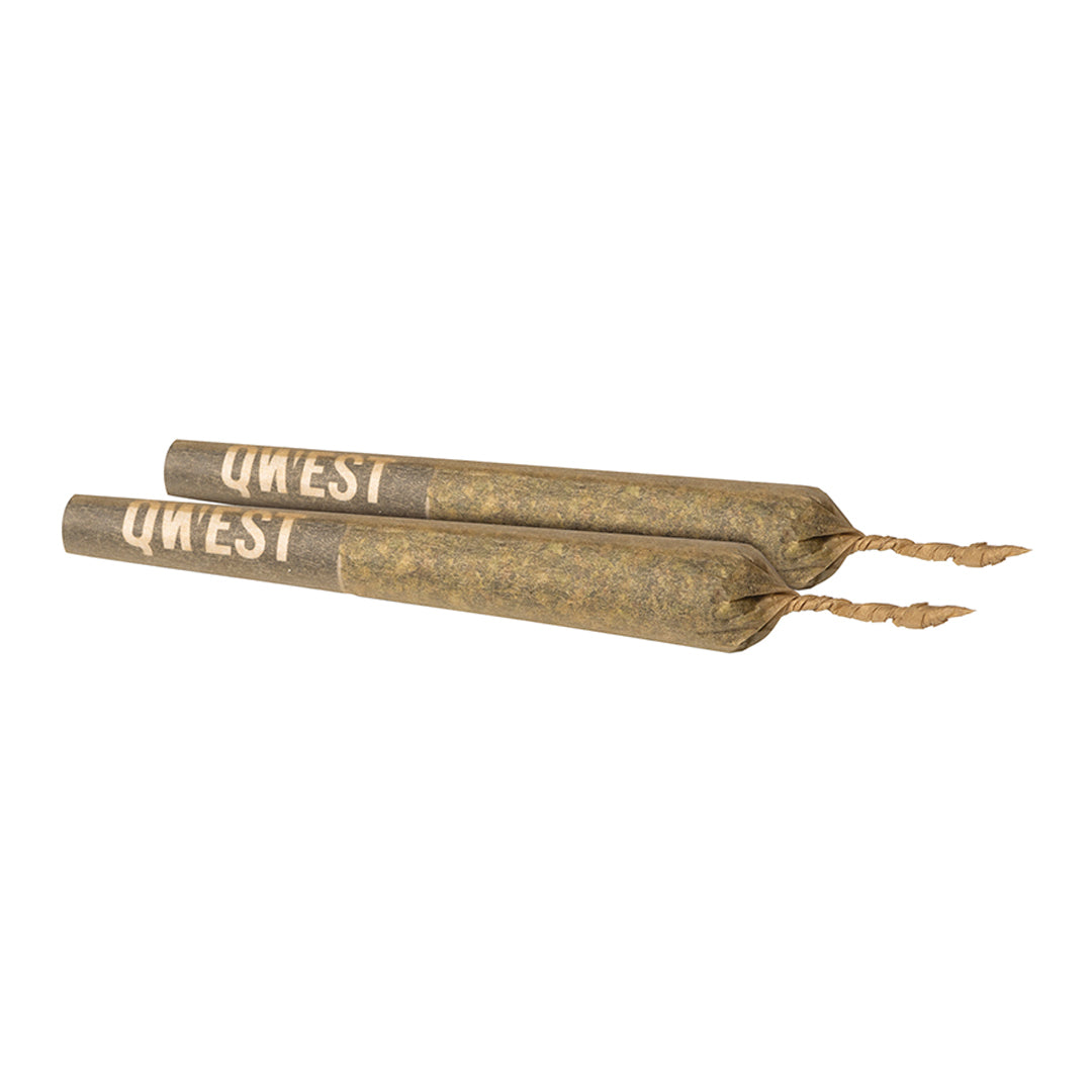 QWEST PAPAYA CAKE (H) PRE ROLLS - 0.5G X 2