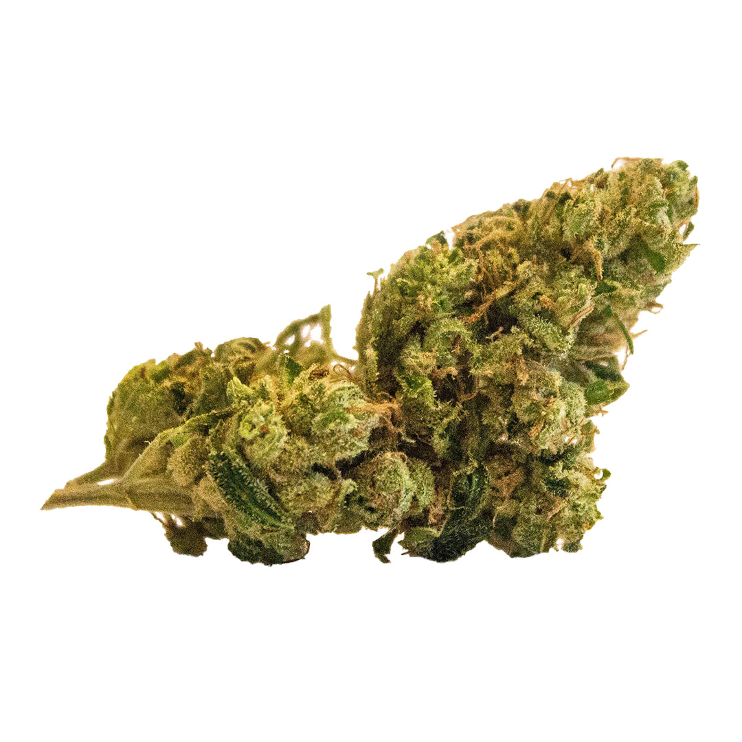 VERSUS SUPER LEMON HAZE (S) DRIED - 28G