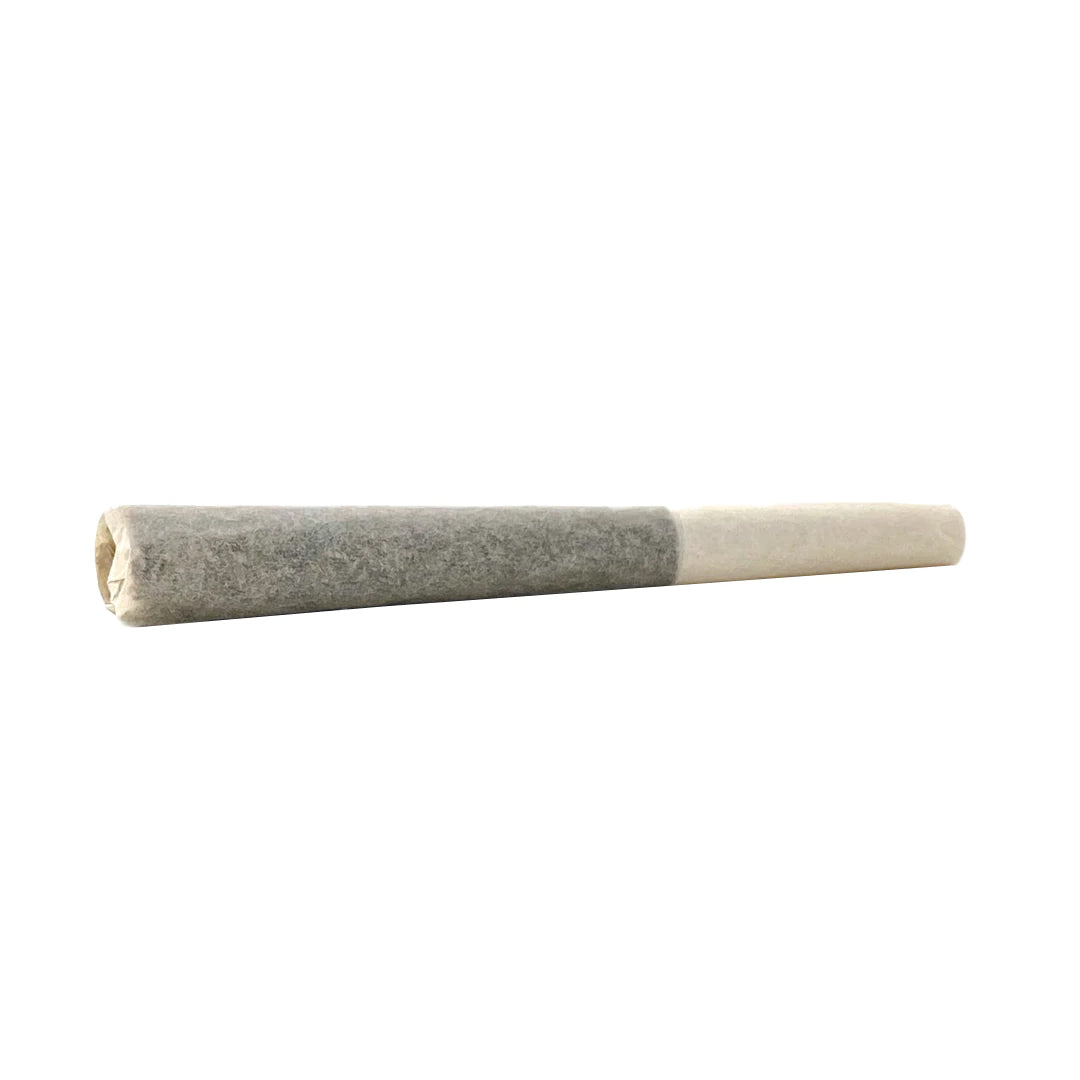TREEHUGGER KING TUT (H) PRE-ROLL - 0.3GX10