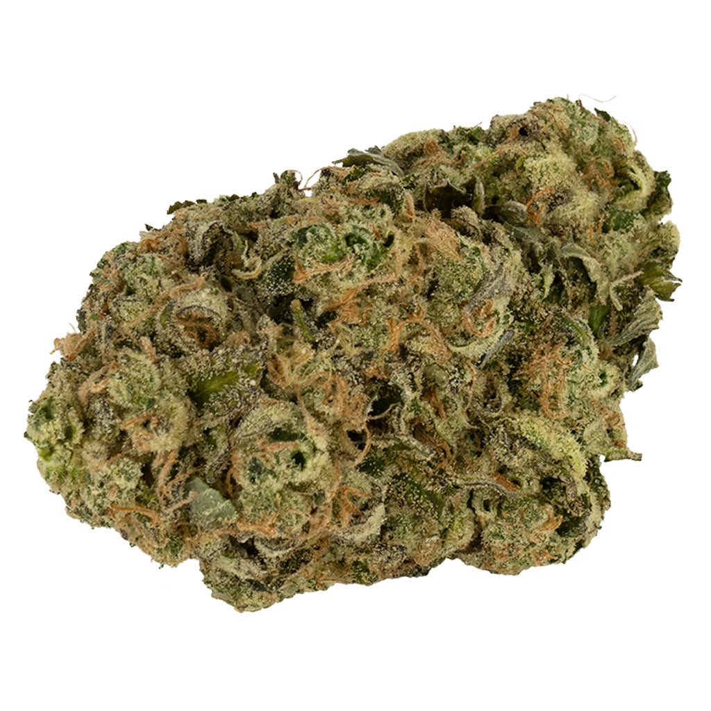 DOJA 91K (IND) DRIED FLOWER - 14G