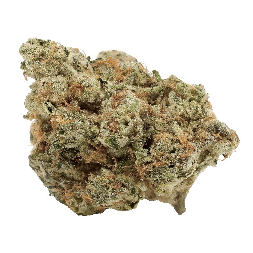 HAVEN ST. SAPPHIRE SCOUT (IND) DRIED - 3.5G