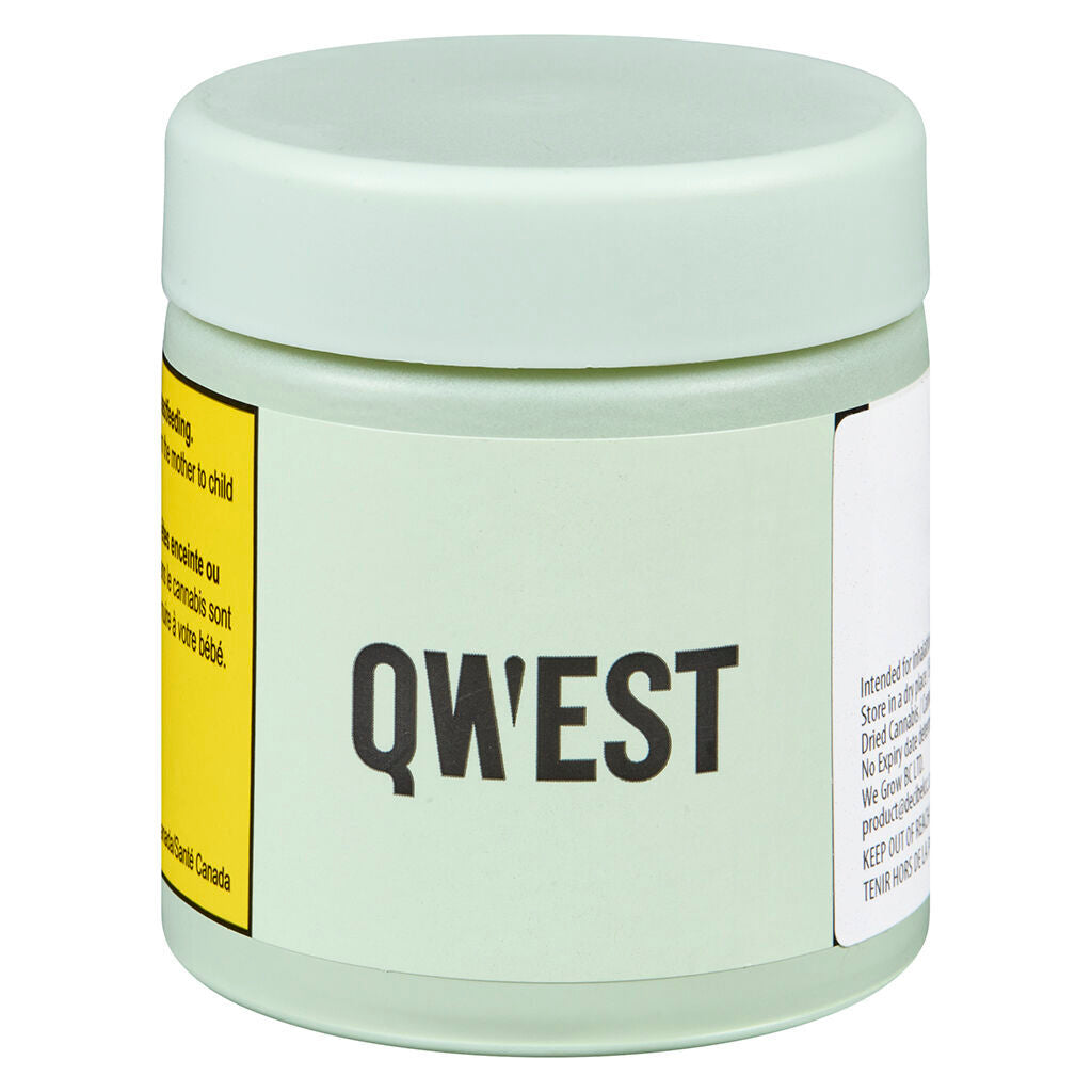 QWEST BLUEBERRY SYRUP (H) DRIED - 3.5G