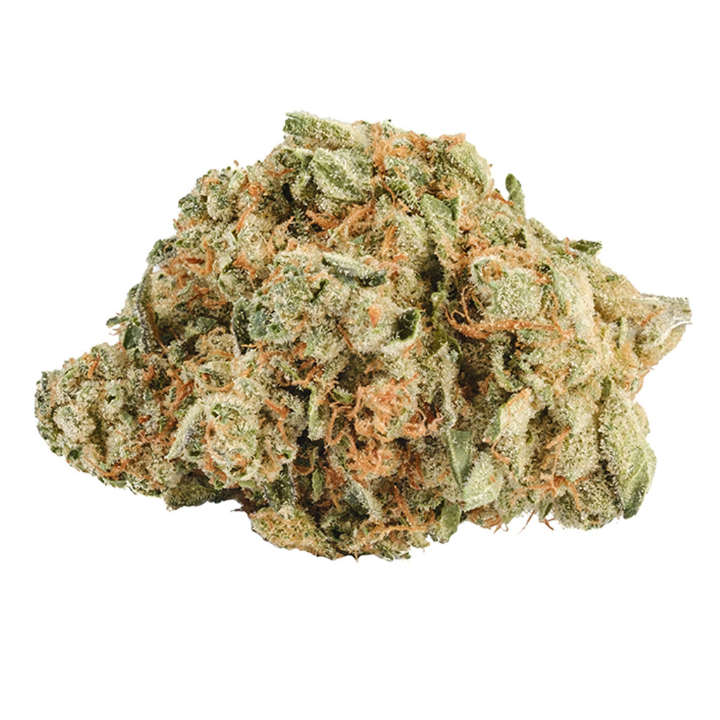 SEV7N ISLAND GOLD KAWEHNOKE KAWISTANORON (H) DRIED - 28G