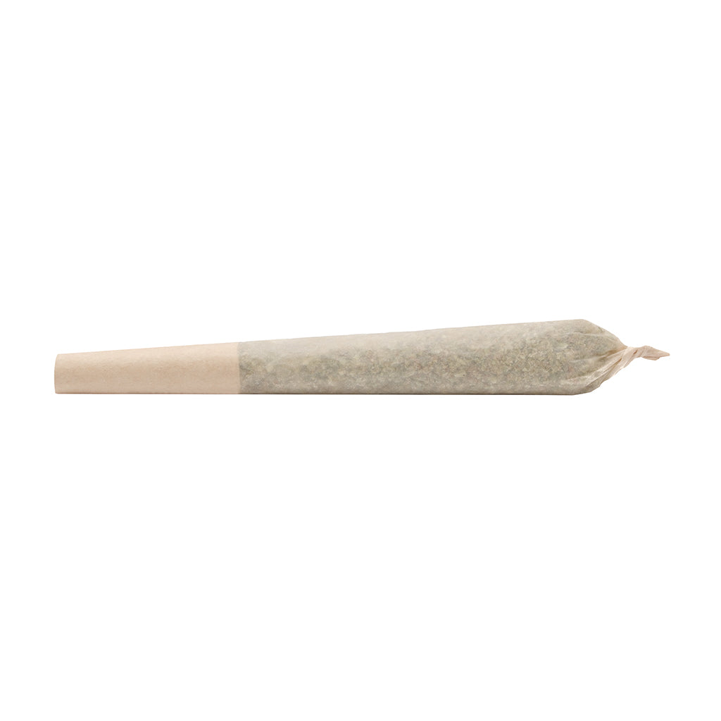 SEV7N ISLAND GOLD KAWEHNOKE KAWISTANORON (H) DRIED - 3.5G