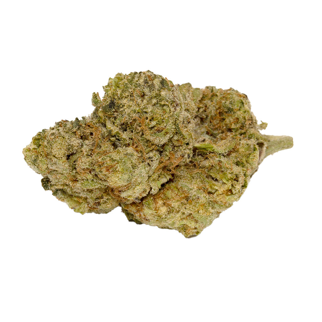 WAGNERS GOLDEN GHOST OG (H) DRIED - 3.5G