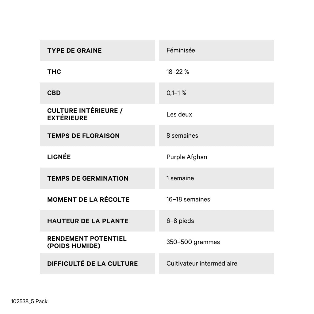 DUTCH PASSION PURPLE 1 (FEM) (H) SEED - 5PK