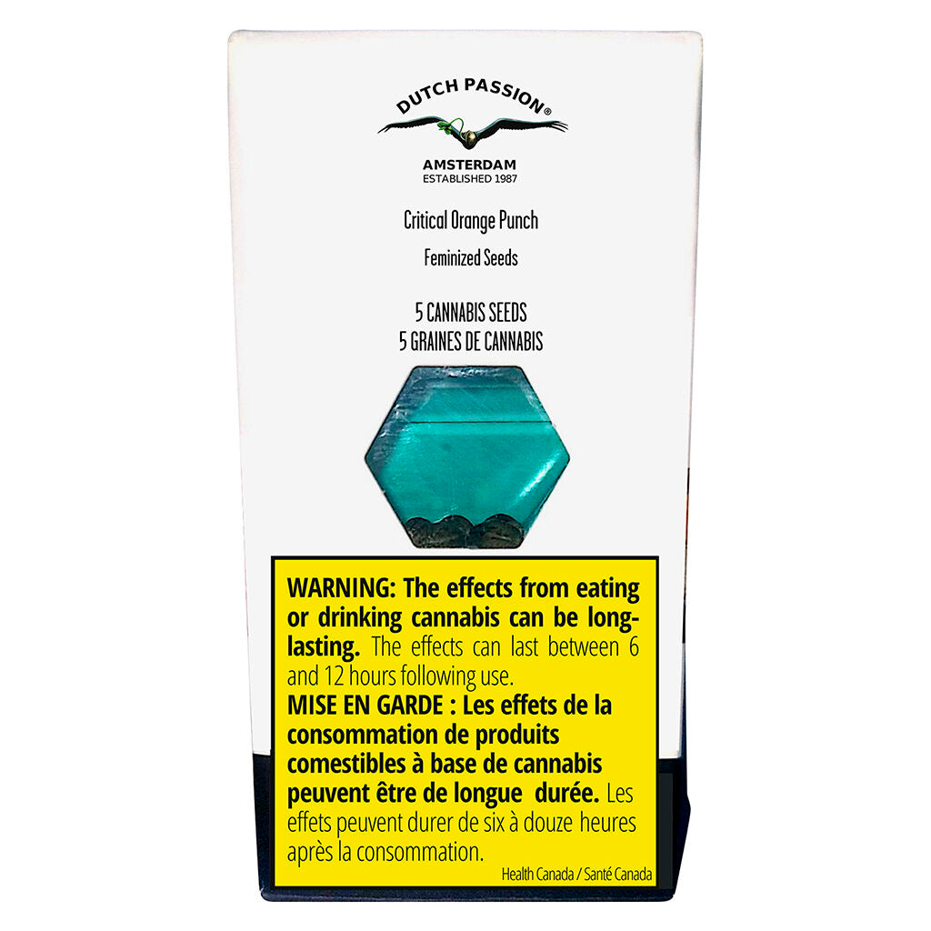 DUTCH PASSION CRITICAL ORANGE PUNCH (FEM) (H) SEED - 5PK