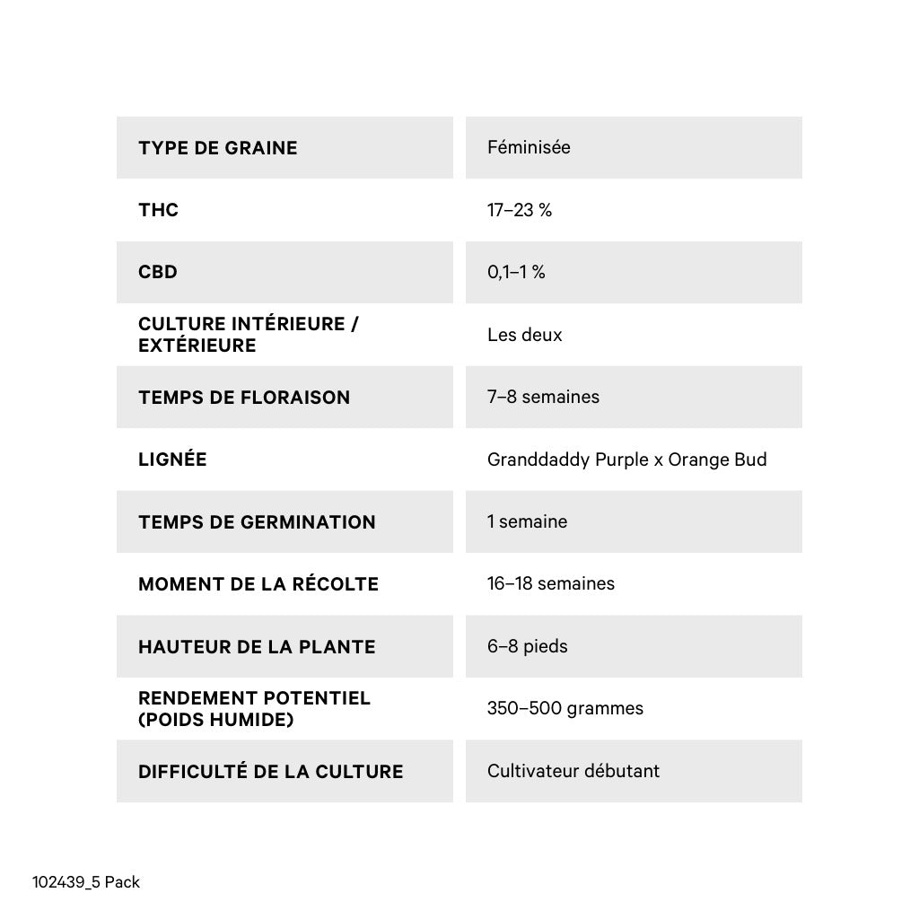 DUTCH PASSION CRITICAL ORANGE PUNCH (FEM) (H) SEED - 5PK