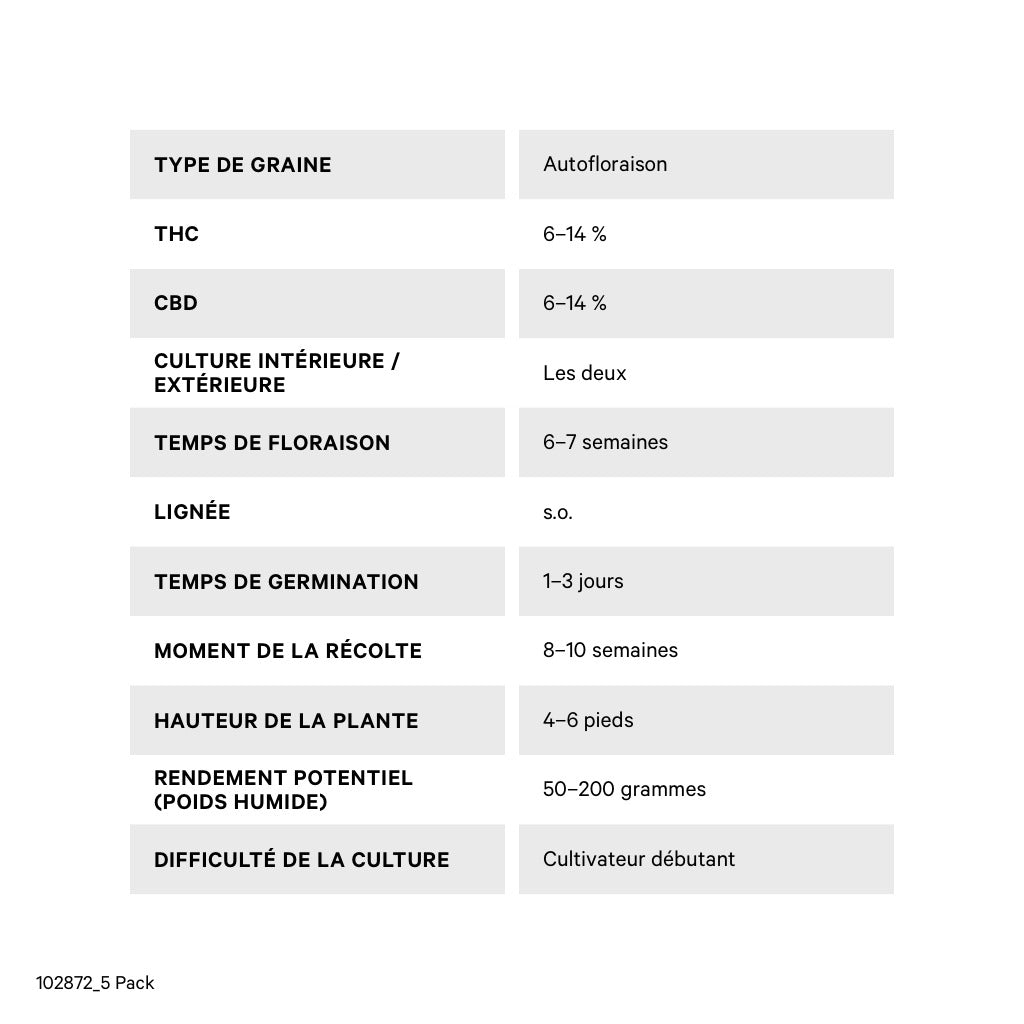 AUTOFLOWER BC CALI ORANGE SHERBERT 1:1 (AUTO) (S) SEED - 5PK