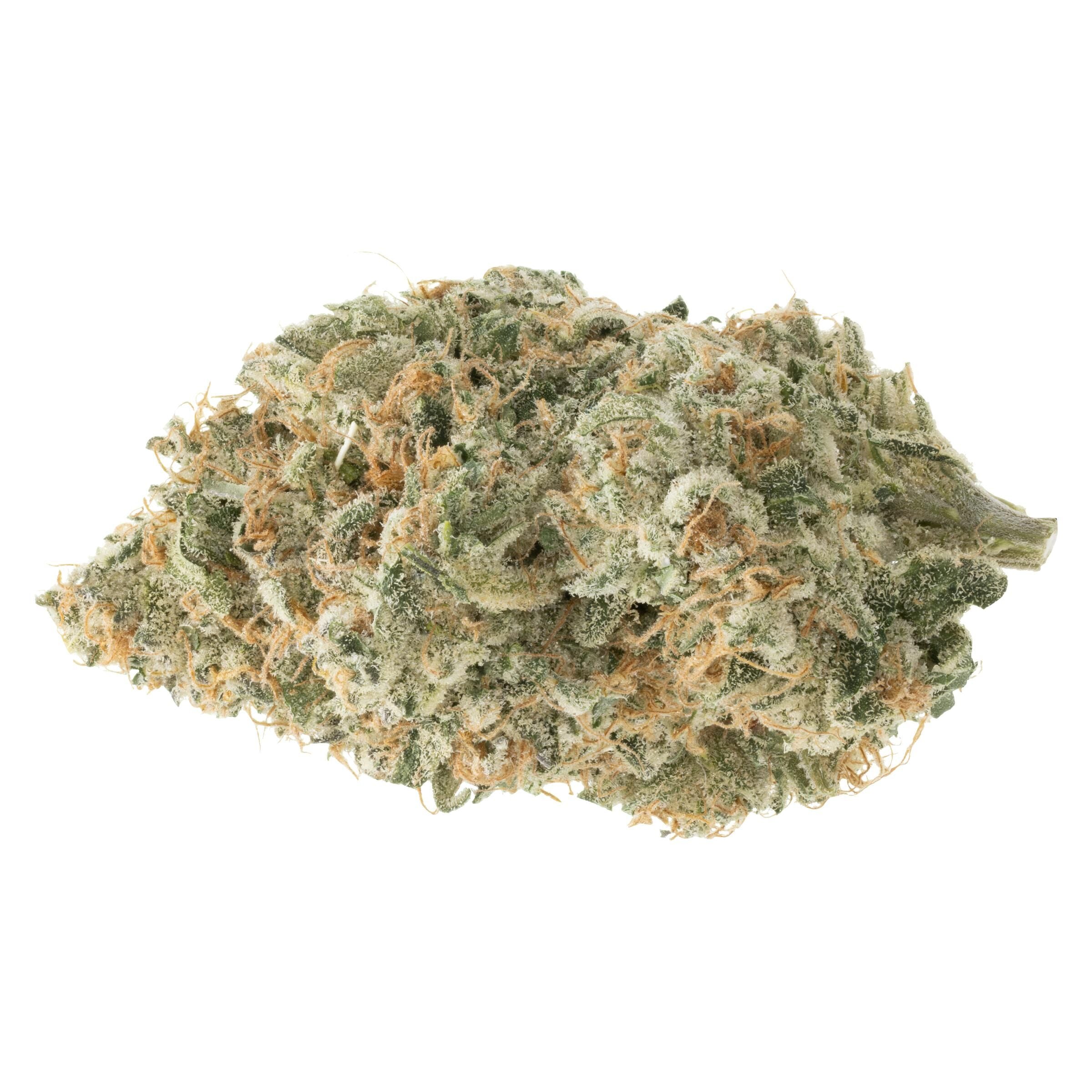 BC GREEN CEMENT SHOES (IND) DRIED - 3.5G