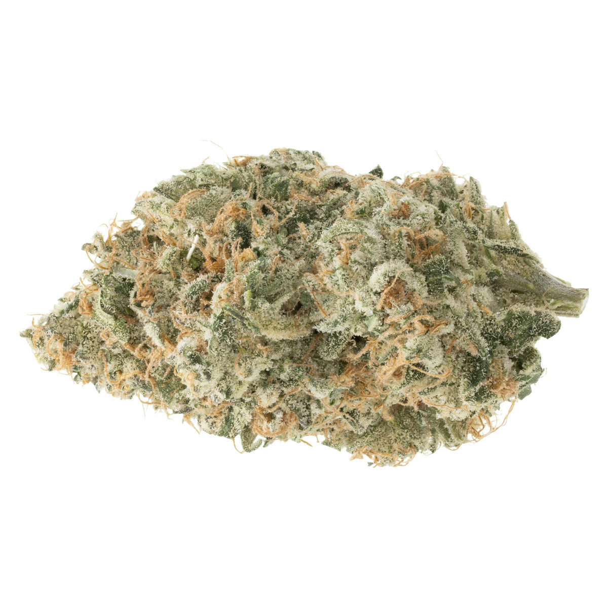 BC GREEN CEMENT SHOES (IND) DRIED - 3.5G