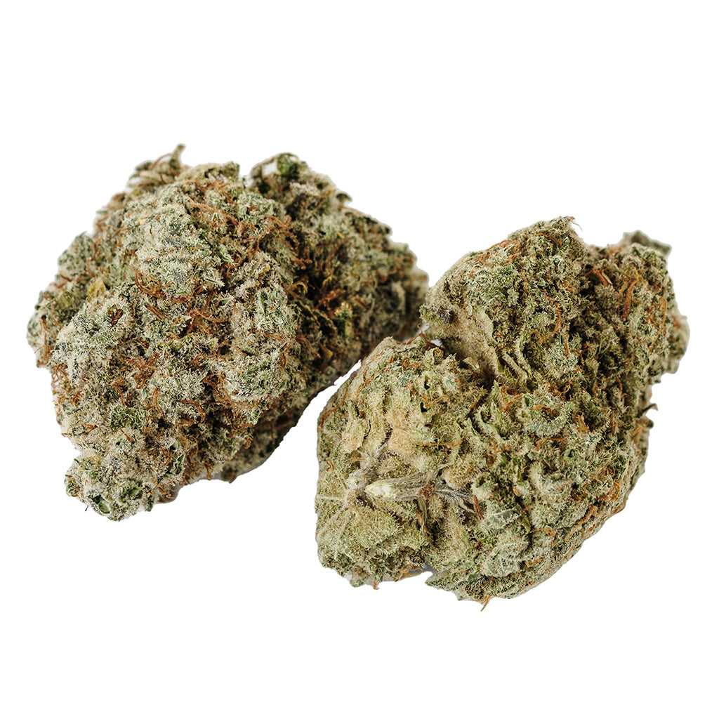 KOLAB PROJECT X SAFARI STICKY MONKEY (IND) DRIED - 3.5G