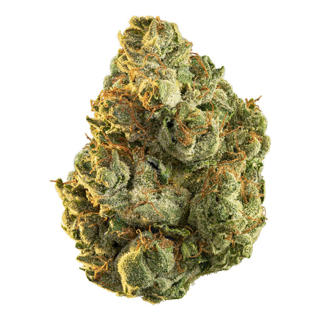 EDISON CANNABIS CO. HOLLYWOOD (H) DRIED - 1G