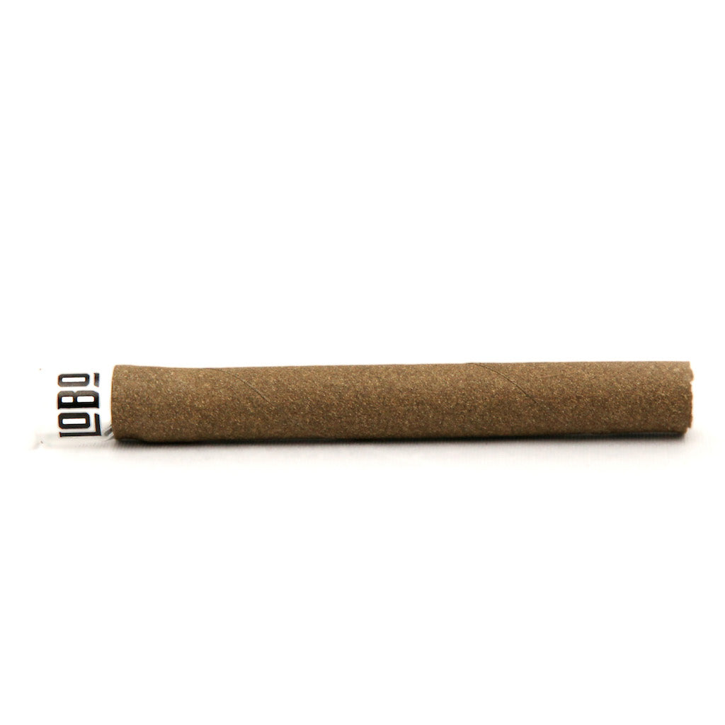 LOBO PRESIDENTE BUNT (H) PRE-ROLL - 2G X 1
