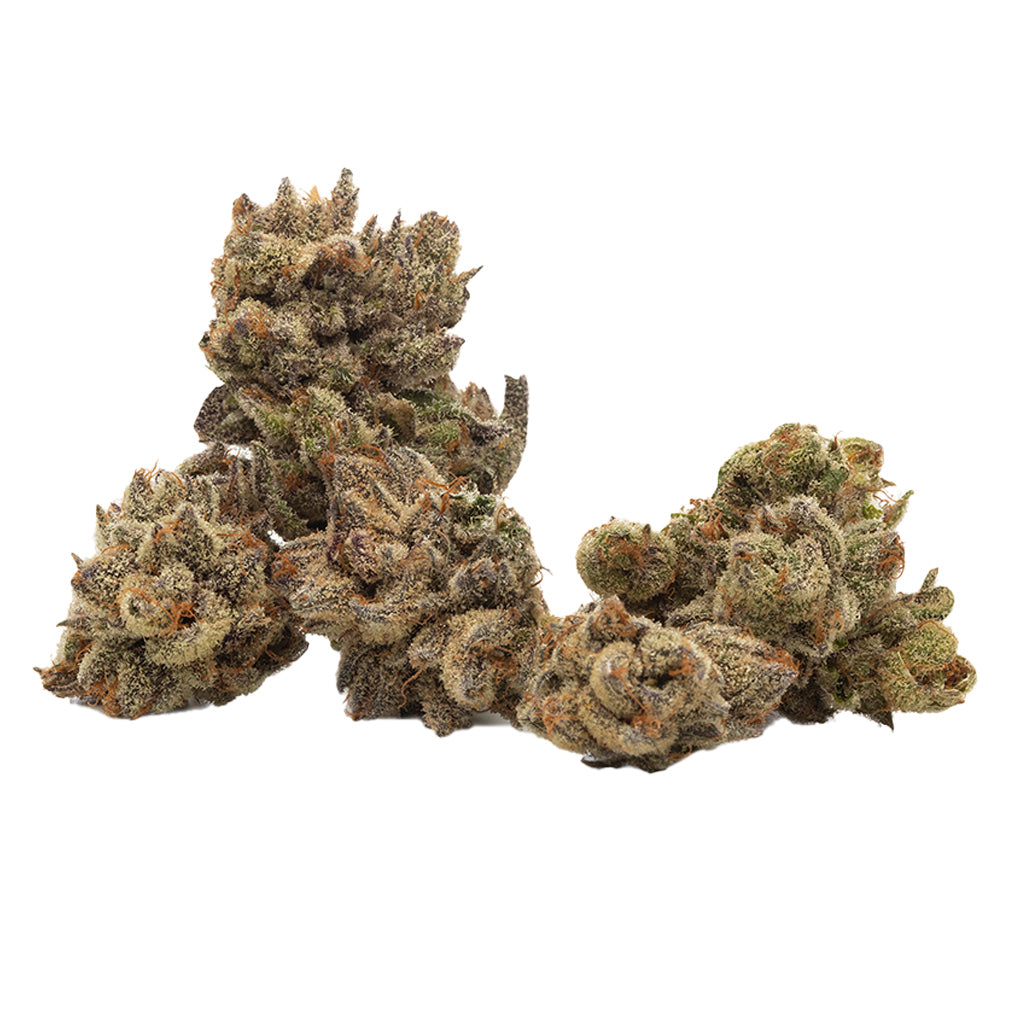 QWEST ICICLE (H) DRIED - 3.5G
