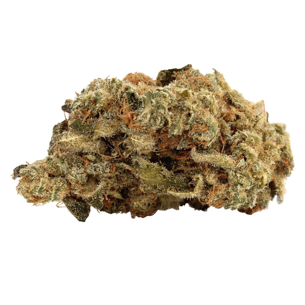 HOMAGE BLUE IGUANA (H) DRIED - 3.5G