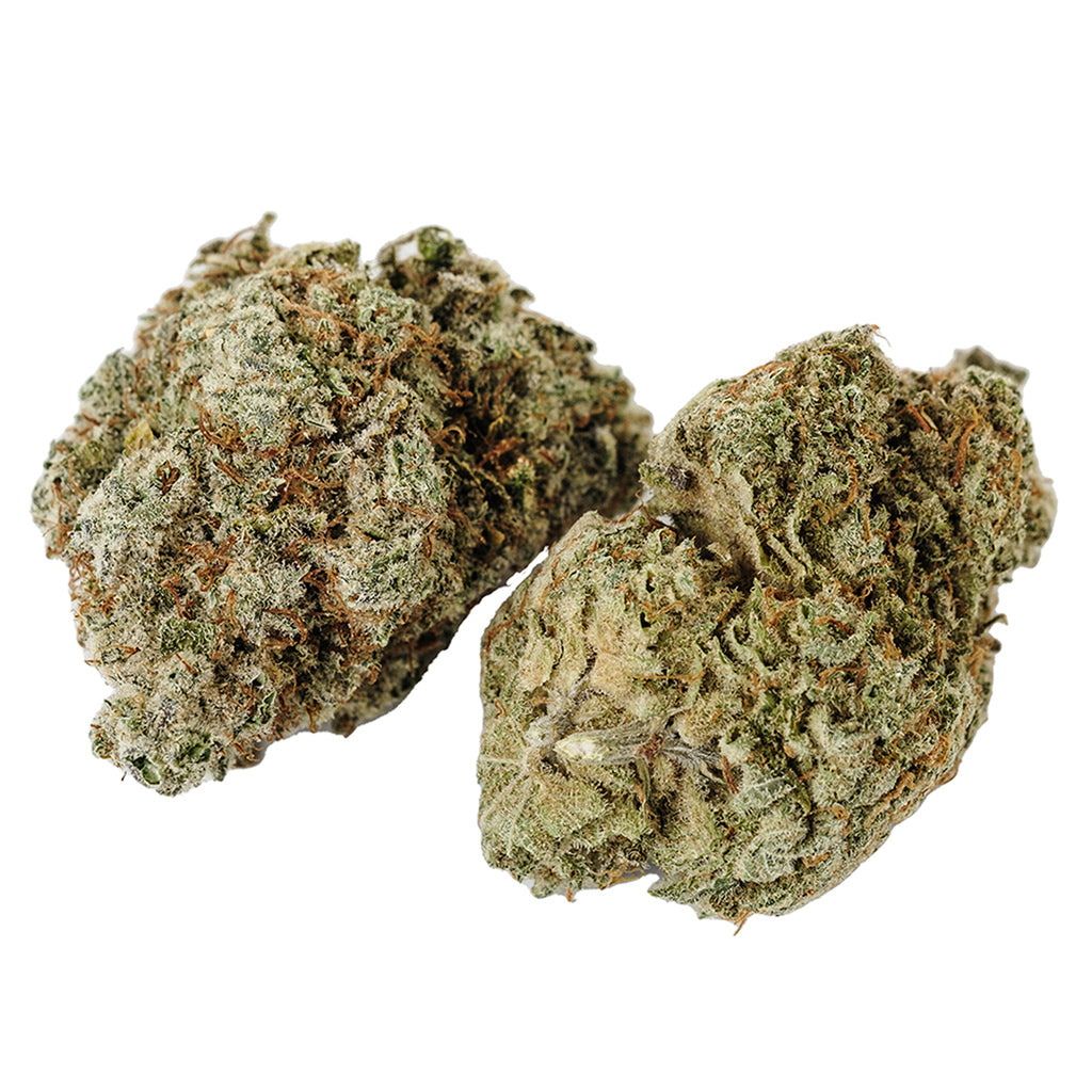 KOLAB PROJECT 950 STICKY MONKEY (IND) DRIED - 14G