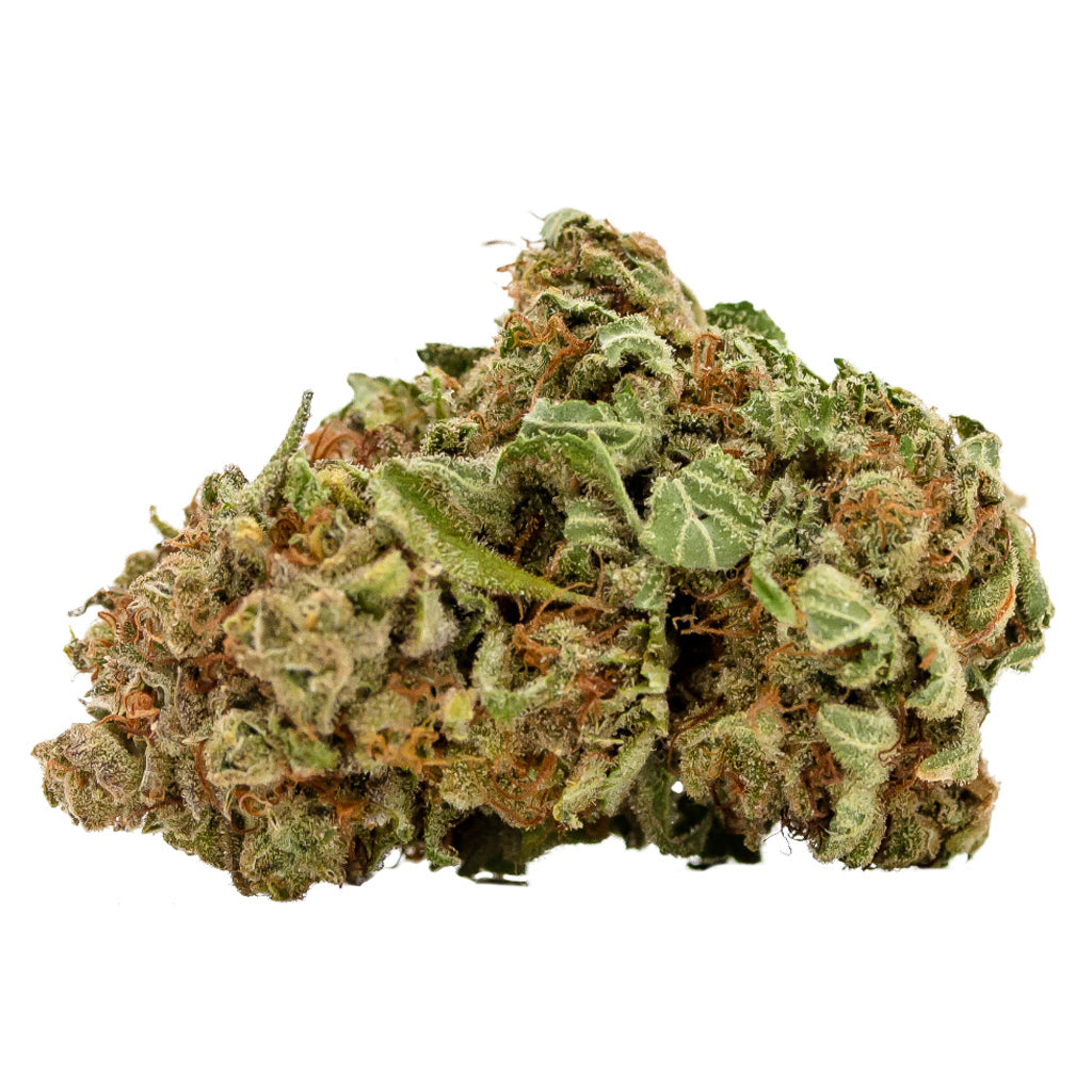 ELIOS RESERVE BZOOKA (H) DRIED - 3.5G