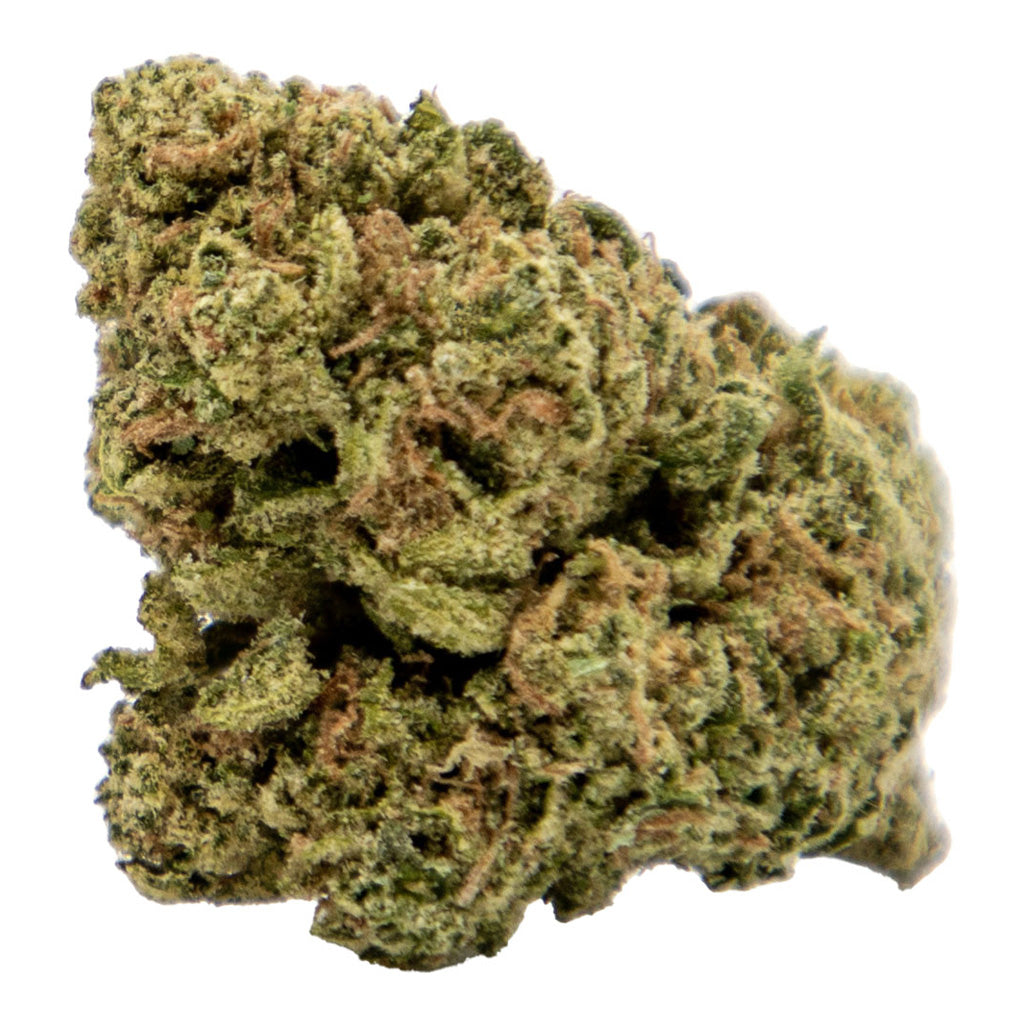 VERSUS ROCKSTAR (IND) DRIED - 14G