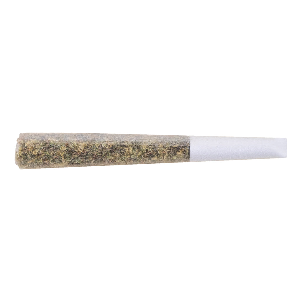 THE LOUD PLUG GOLD SEAL HASH SNAKE (IND) INF PRE-ROLL 0.5GX1