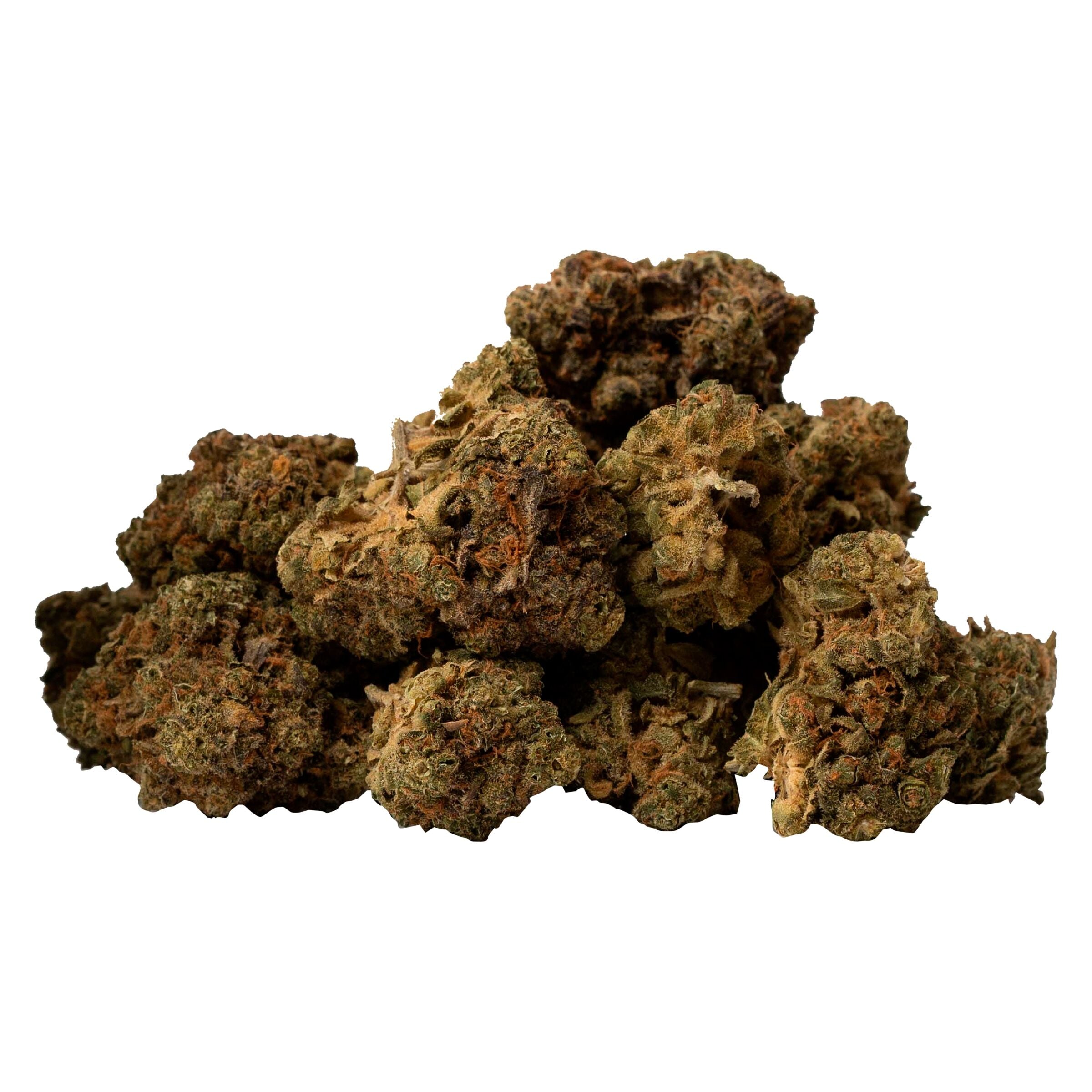 SPACE RACE ALTERNATE REALITY (S) DRIED - 14G