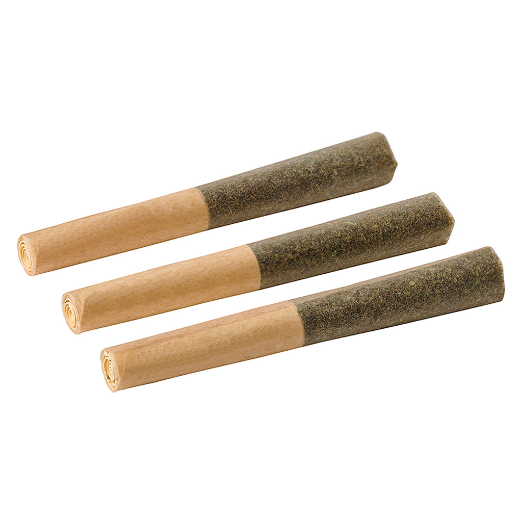 BACK FORTY BLACKBERRY VANILLA (IND) INF PRE-ROLL - 0.5G X 3