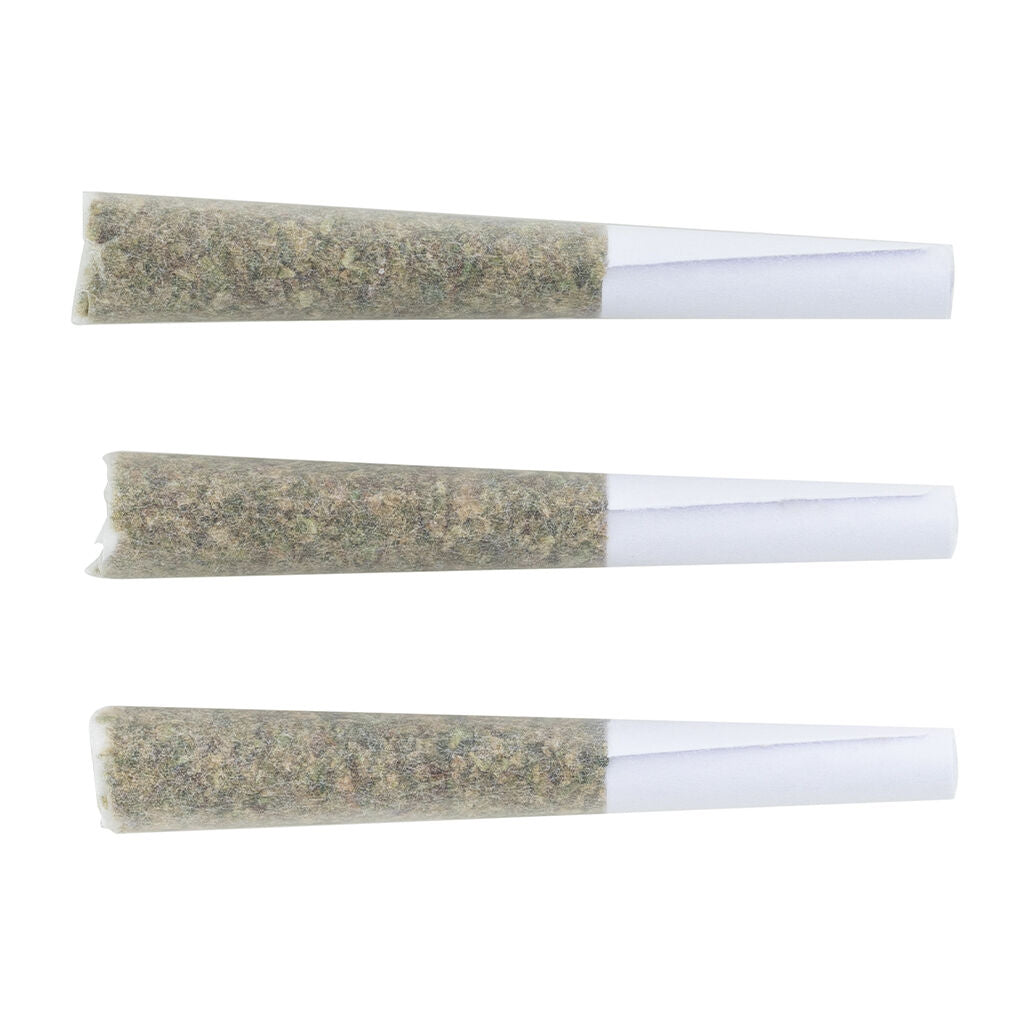 BIG BIG HITTER (H) INF PRE-ROLL - 0.5G X 3