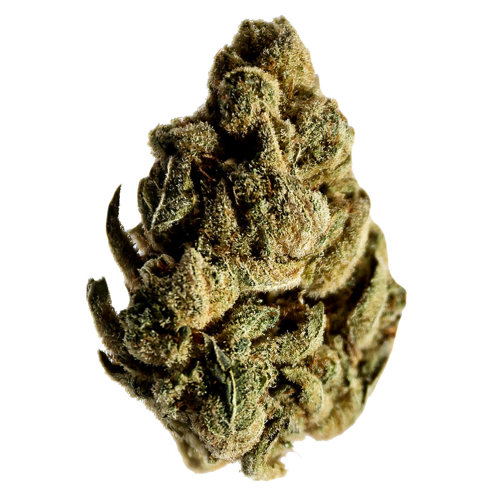 POTLUCK CANDY CANE KUSH (H) DRIED - 7G