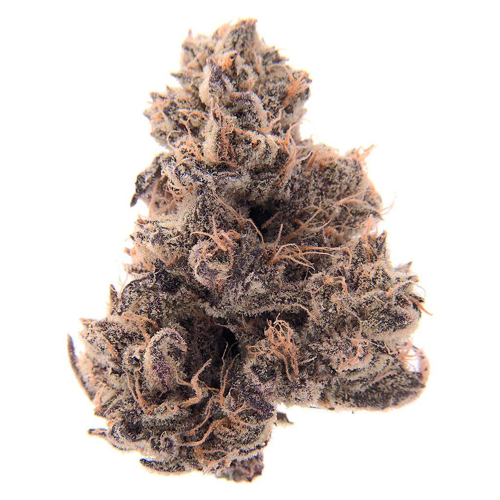 FULL SESH PURPLE GELATO PUNCH (H) DRIED - 3.5G