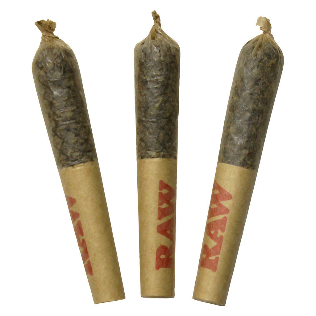 DAB BODS MELONBERRY RESIN (H) INF PRE-ROLL - 0.5G X 3