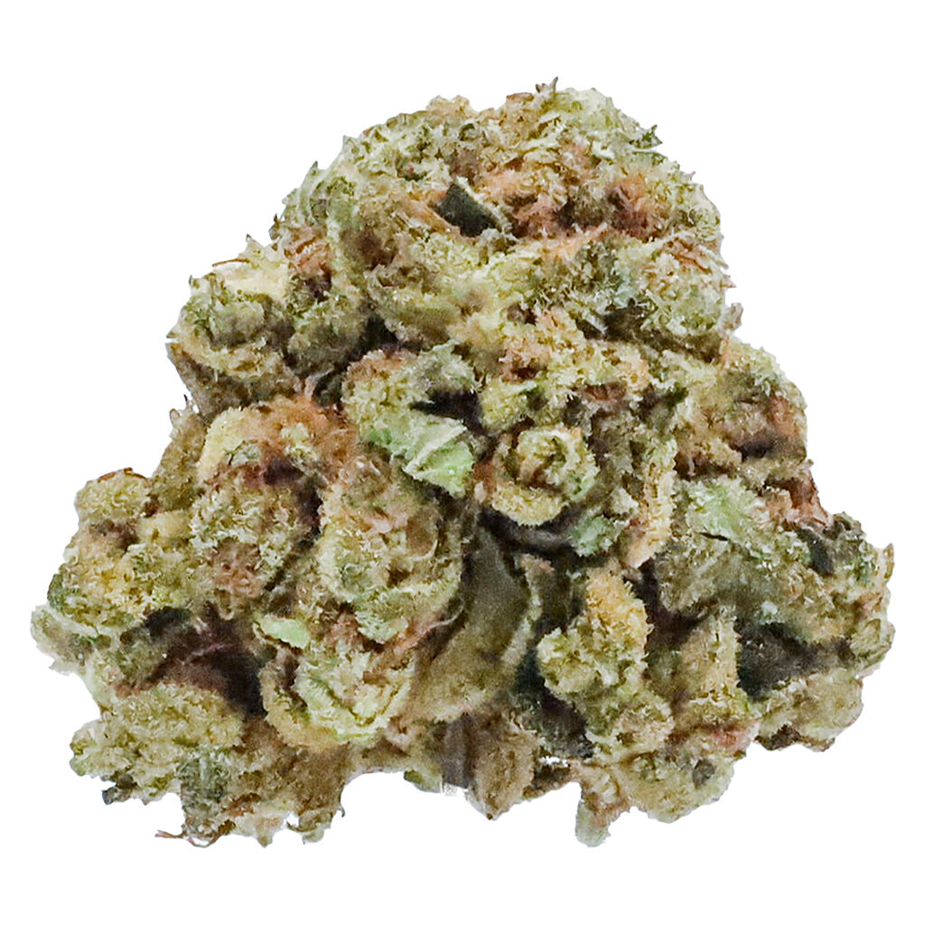LOWKEY AMNESIA HAZE (H) DRIED - 3.5G