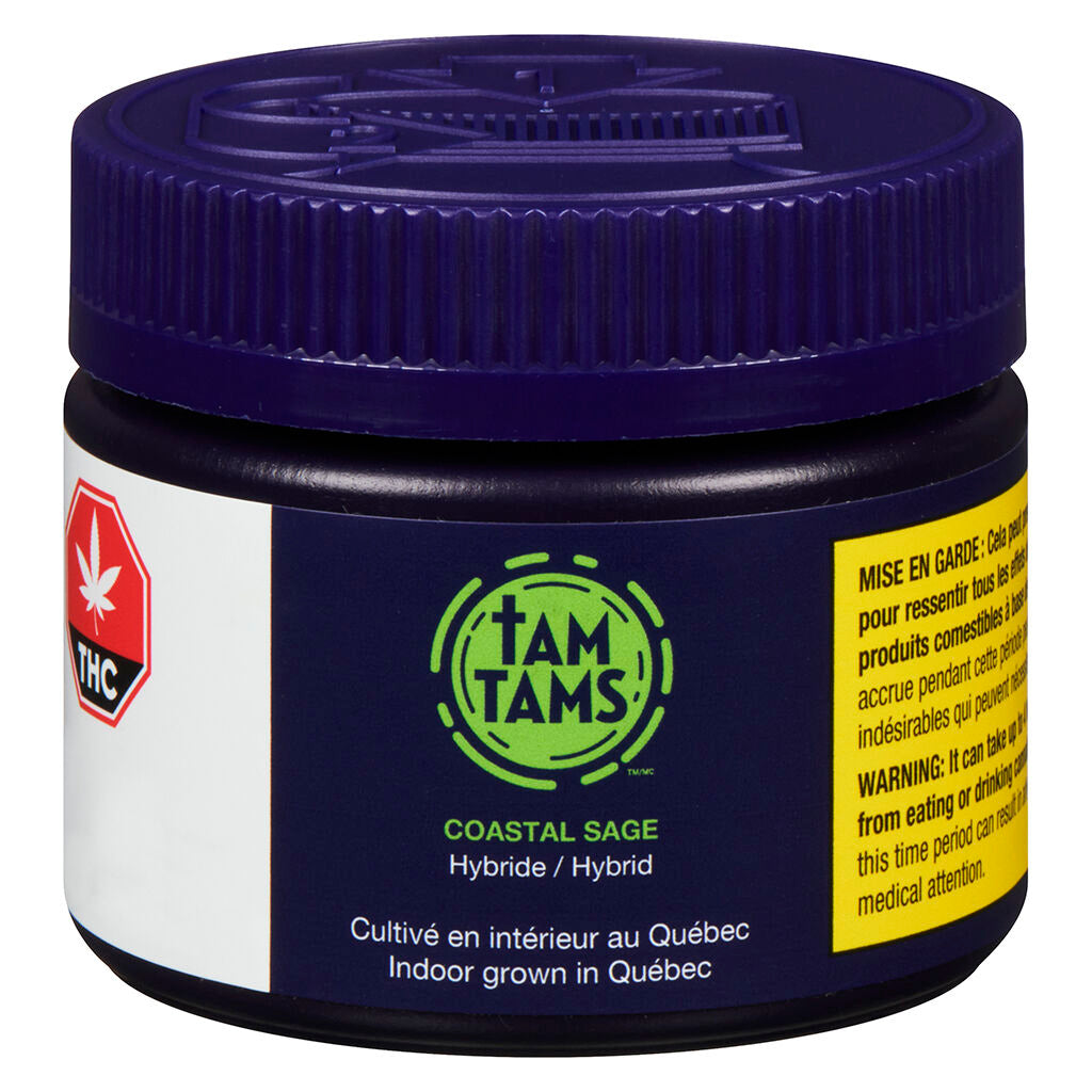 TAM TAMS COASTAL SAGE (H) DRIED - 3.5G