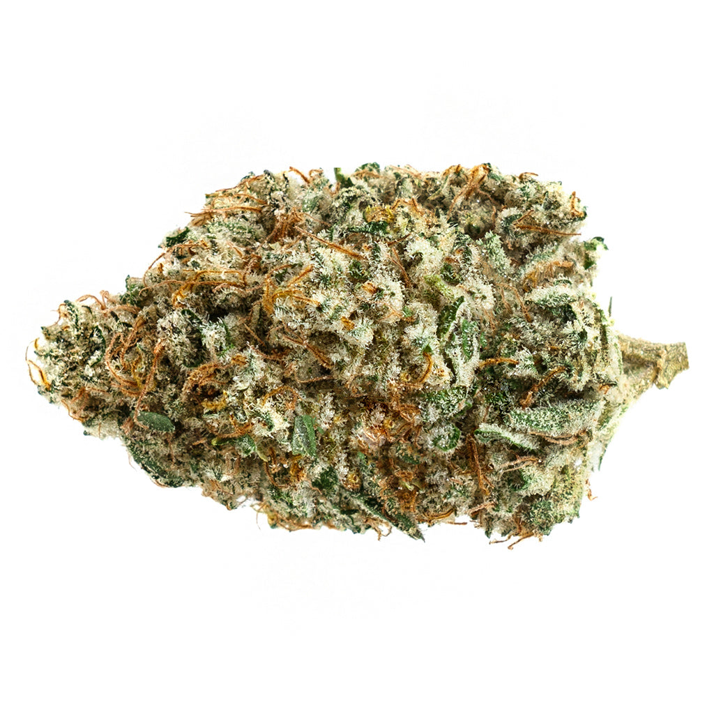 SOAR ALIEN FUEL (H) DRIED - 7G
