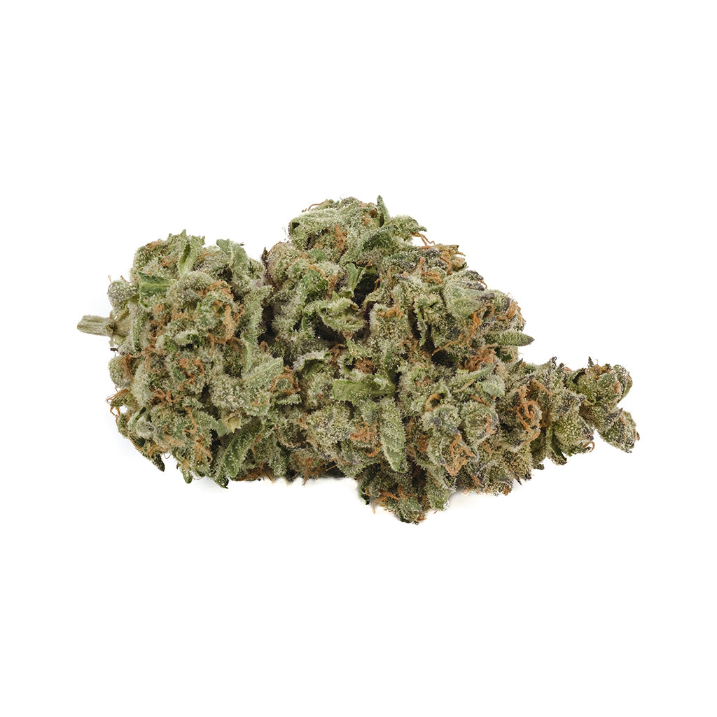 BACK FORTY APPLE FRITTER (H) DRIED - 28G