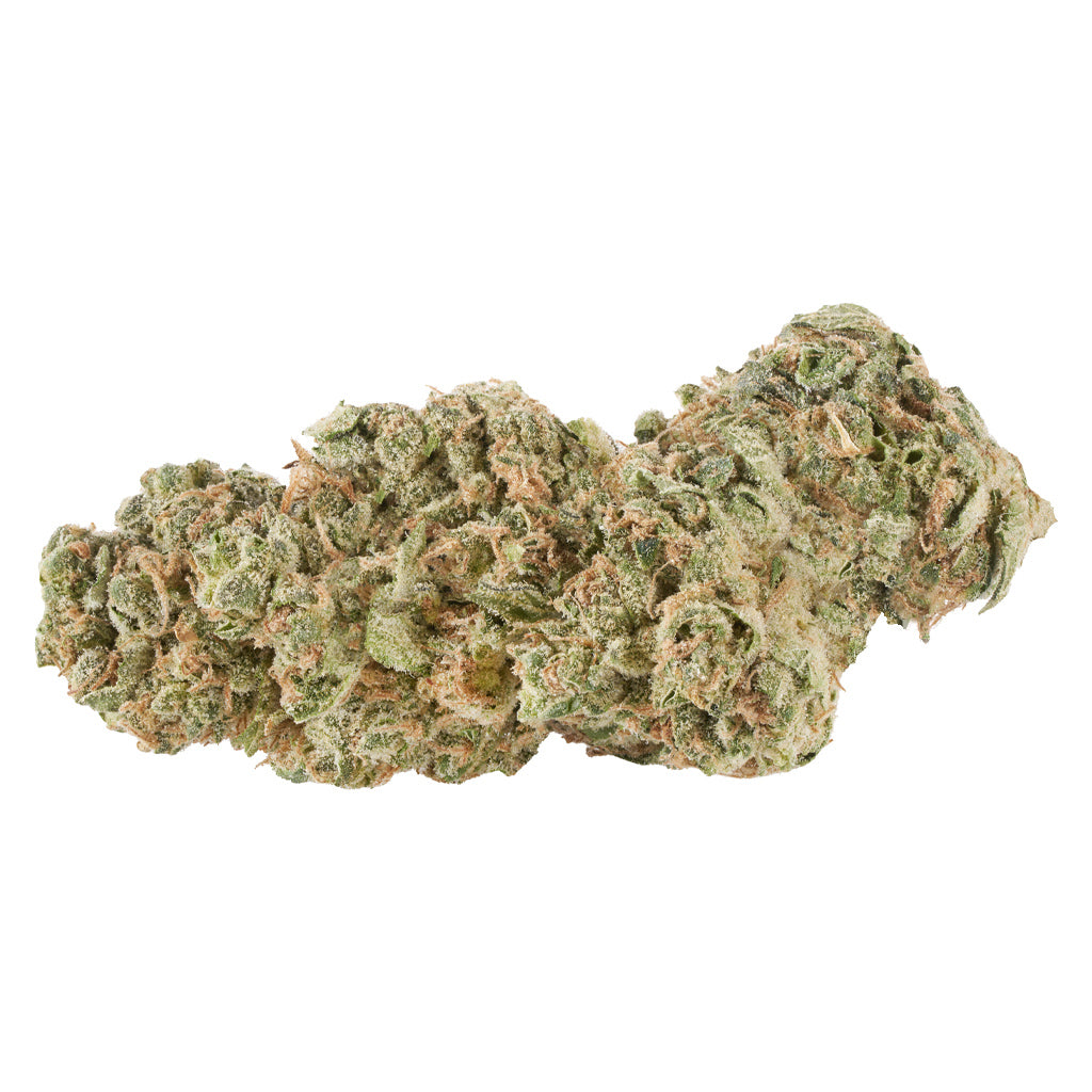CANACA GHOST GELATO (IND) DRIED - 7G