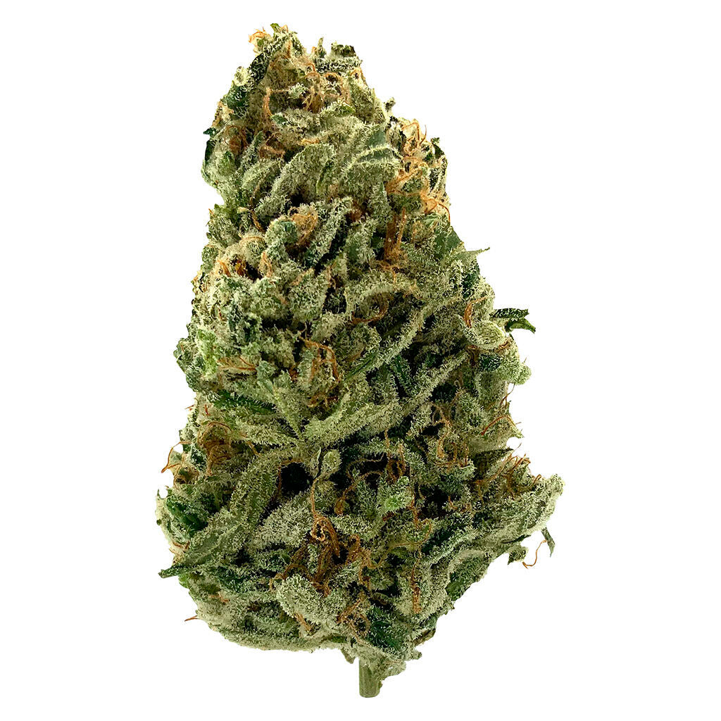 SOVE7EIGN G13 HAZE KAWHNOKE (S) DRIED - 3.5G