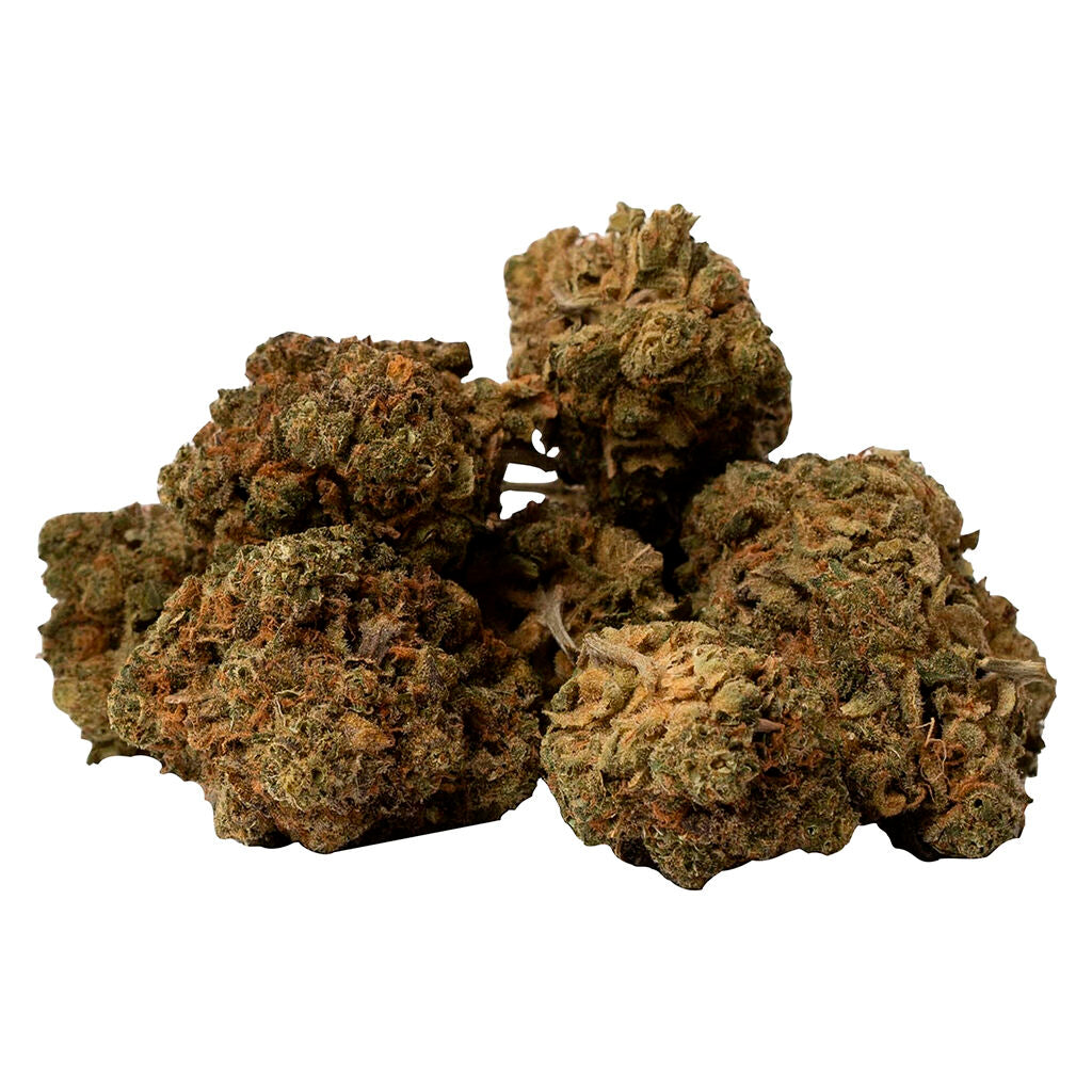 SPACE RACE HOUSTONS PROBLEM (S) DRIED - 7G