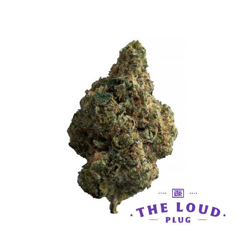 THE LOUD PLUG EXOTIC GAS (IND) DRIED - 28G