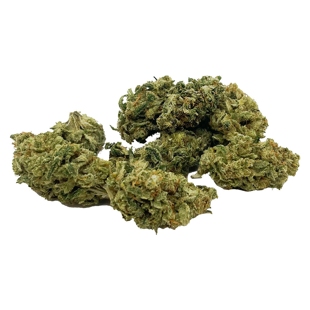 SPACE RACE MISSION CONTROL (IND) DRIED - 7G