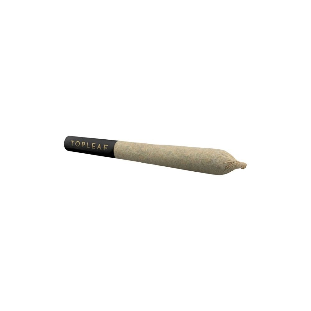 TOP LEAF CITRUS EMPIRE SHATTER (H) INF PRE-ROLL - 1G X 1