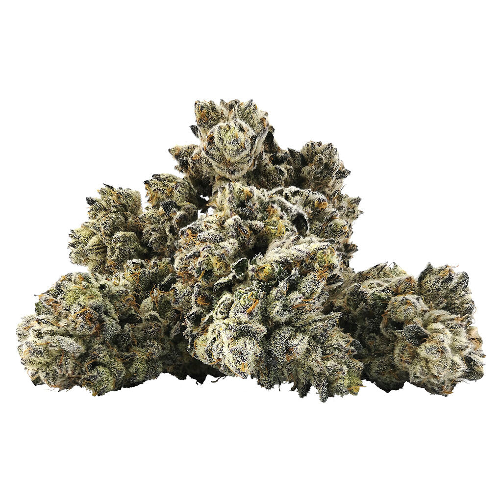 BC BLACK BLUEBERRY FROST (H) DRIED - 14G