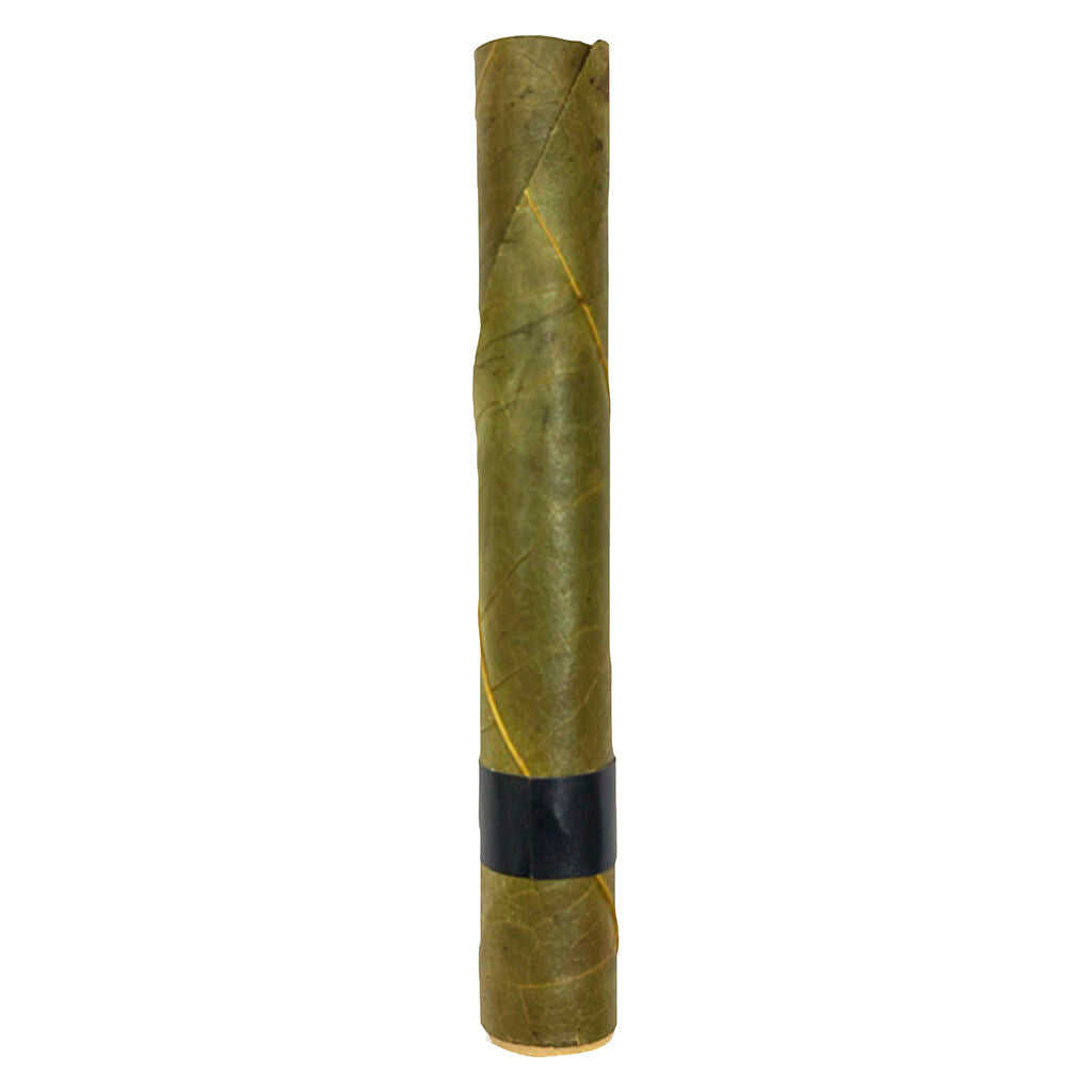 WINK PABLOS INFUSED BLUNT (H) INF PRE-ROLL - 2G X 1