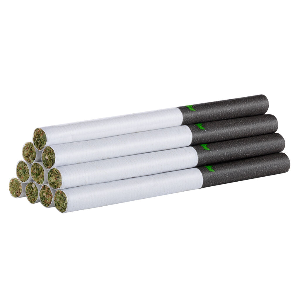 REDECAN REDEES WARLOCK (IND) PRE-ROLL - 0.4G X 10
