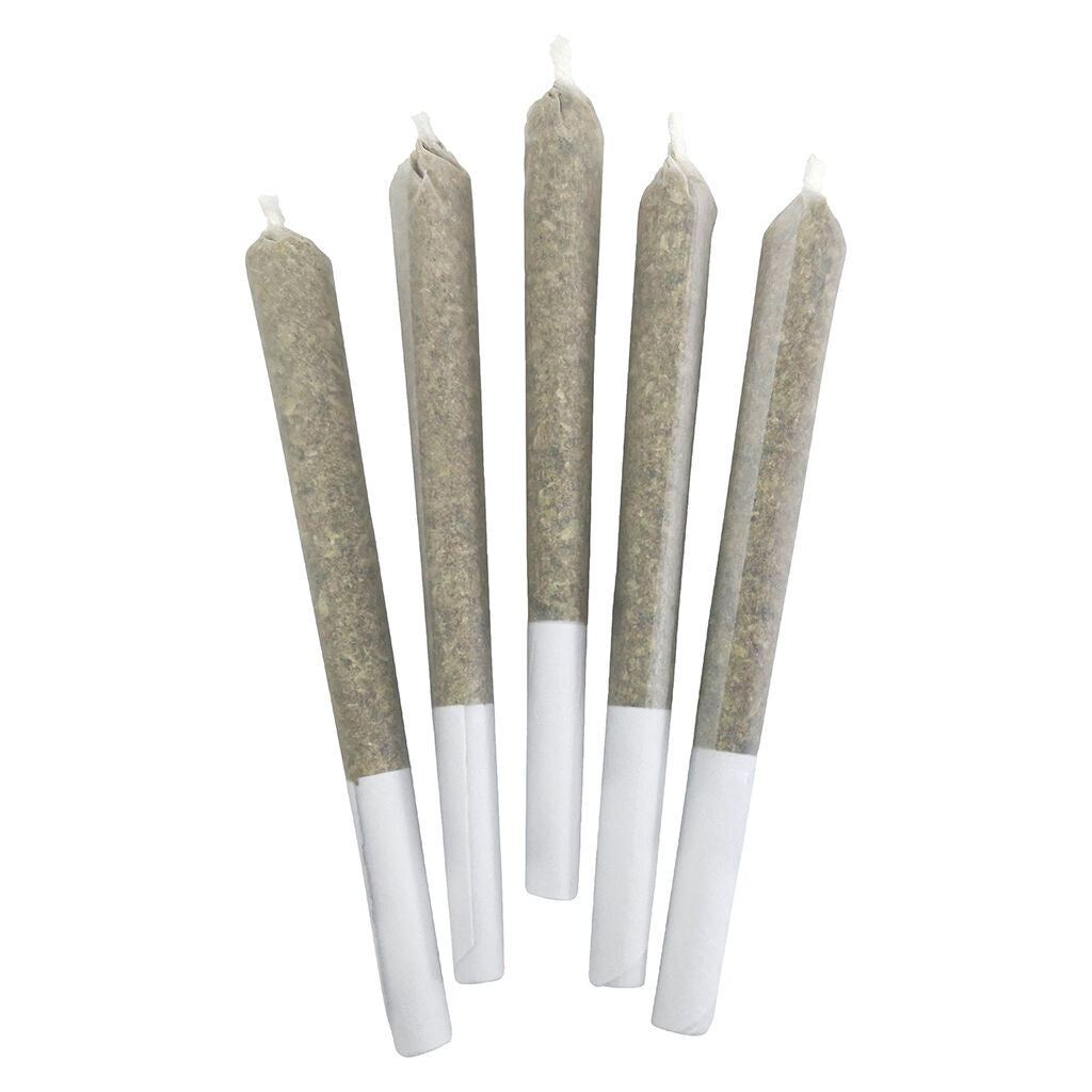 BC BLACK X CROWFOOT: BLUEBERRY FROST (H) PRE-ROLL - 0.5G X 5