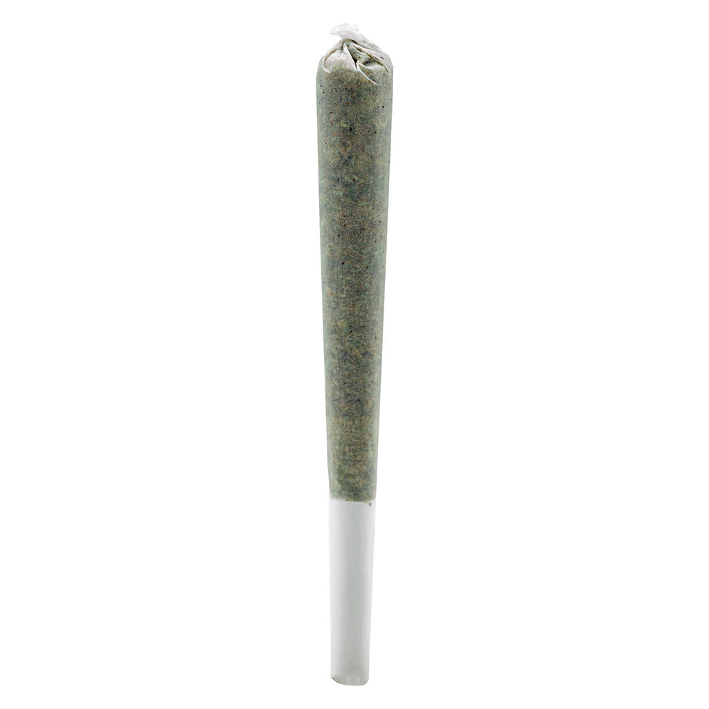 SIMPLY BARE ORGANIC ROSIN ROLL (H) INF PRE-ROLL - 0.5G X 3