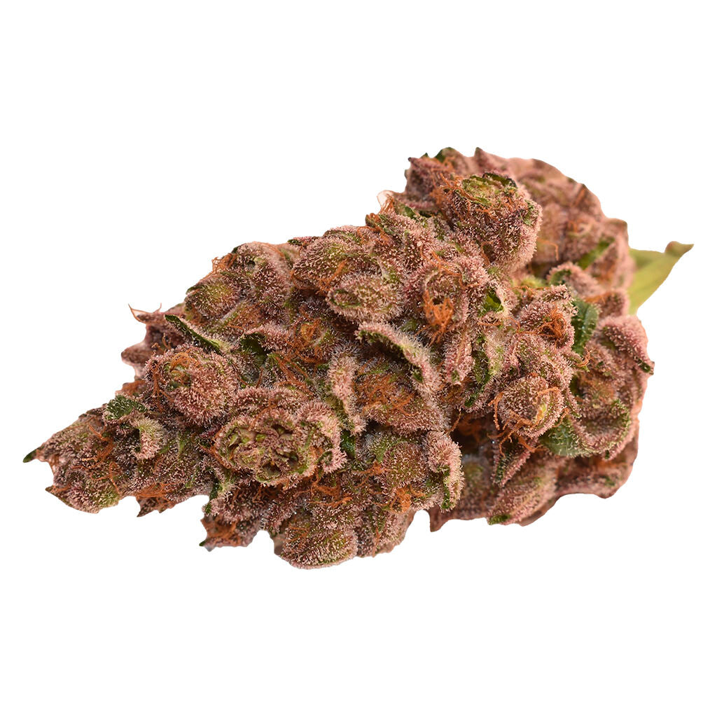 THUMBS UP DAY AND NIGHT DUAL PACK OUNCE (H) DRIED - 14G X 2