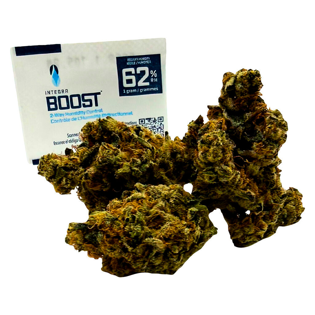 SPACE RACE SPACE GOBLINS (S) DRIED - 3.5G